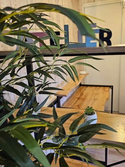 Cosy Loft - Apartment *